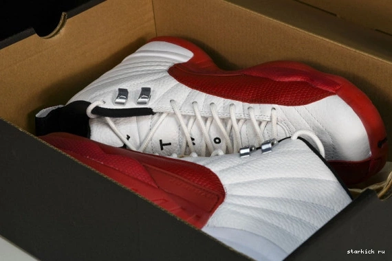 Jordan Cherry 12 Retro CT8013-116  CT8013-116  0224